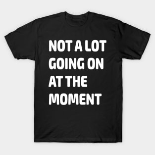 Not a Lot Going on at the Moment Gift T-Shirt